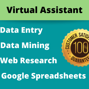 I will be your virtual assistant for all administrative needs